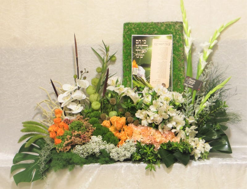 עיצובים מקוריים