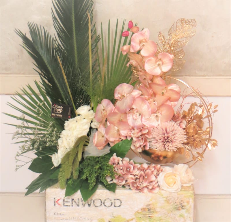 עיצובים מעל הקופסא