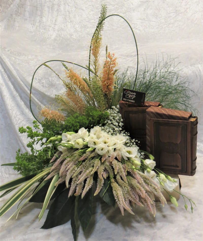 עיצובי מחזורים