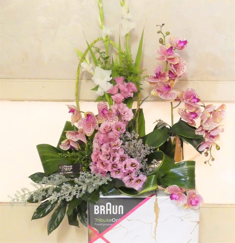 עיצובים מעל הקופסא