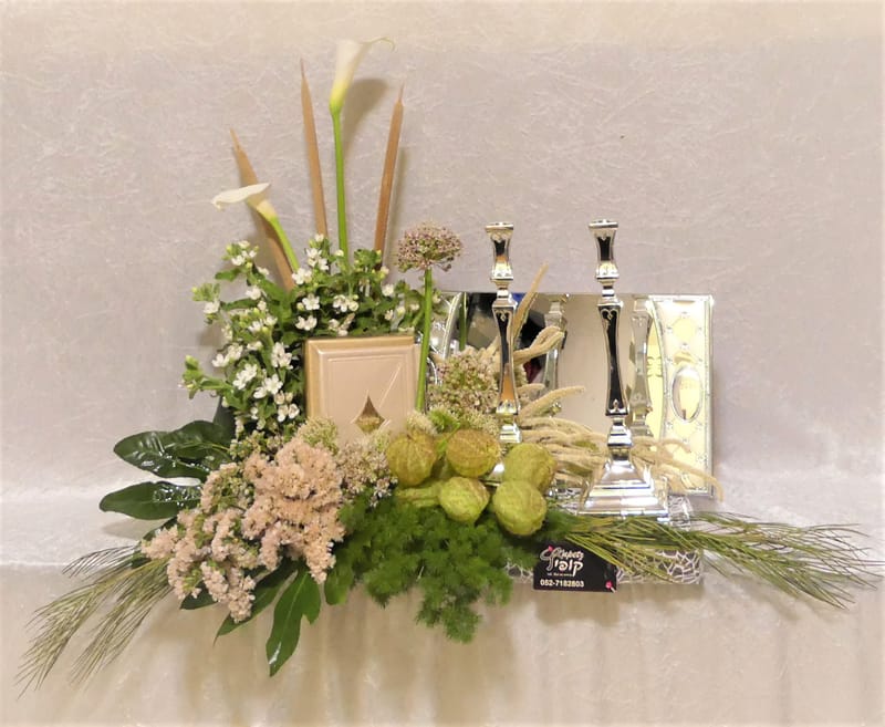 עיצובי פמוטים