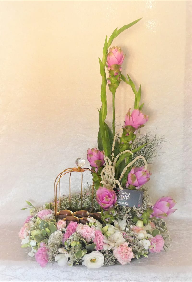 עיצובי פרלינים יוקרתיים