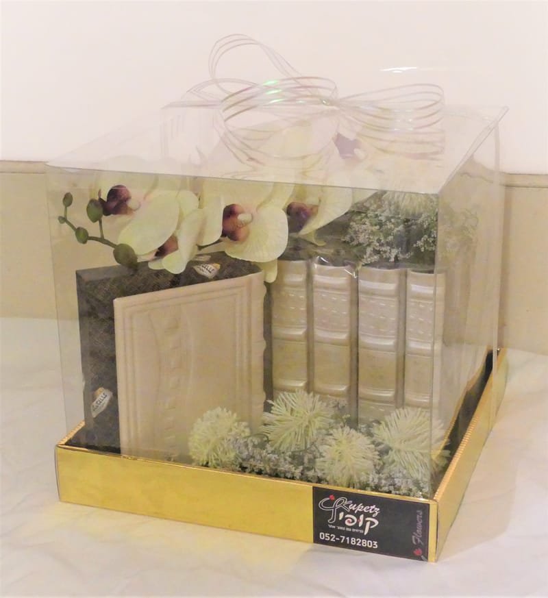 עיצובי מחזורים