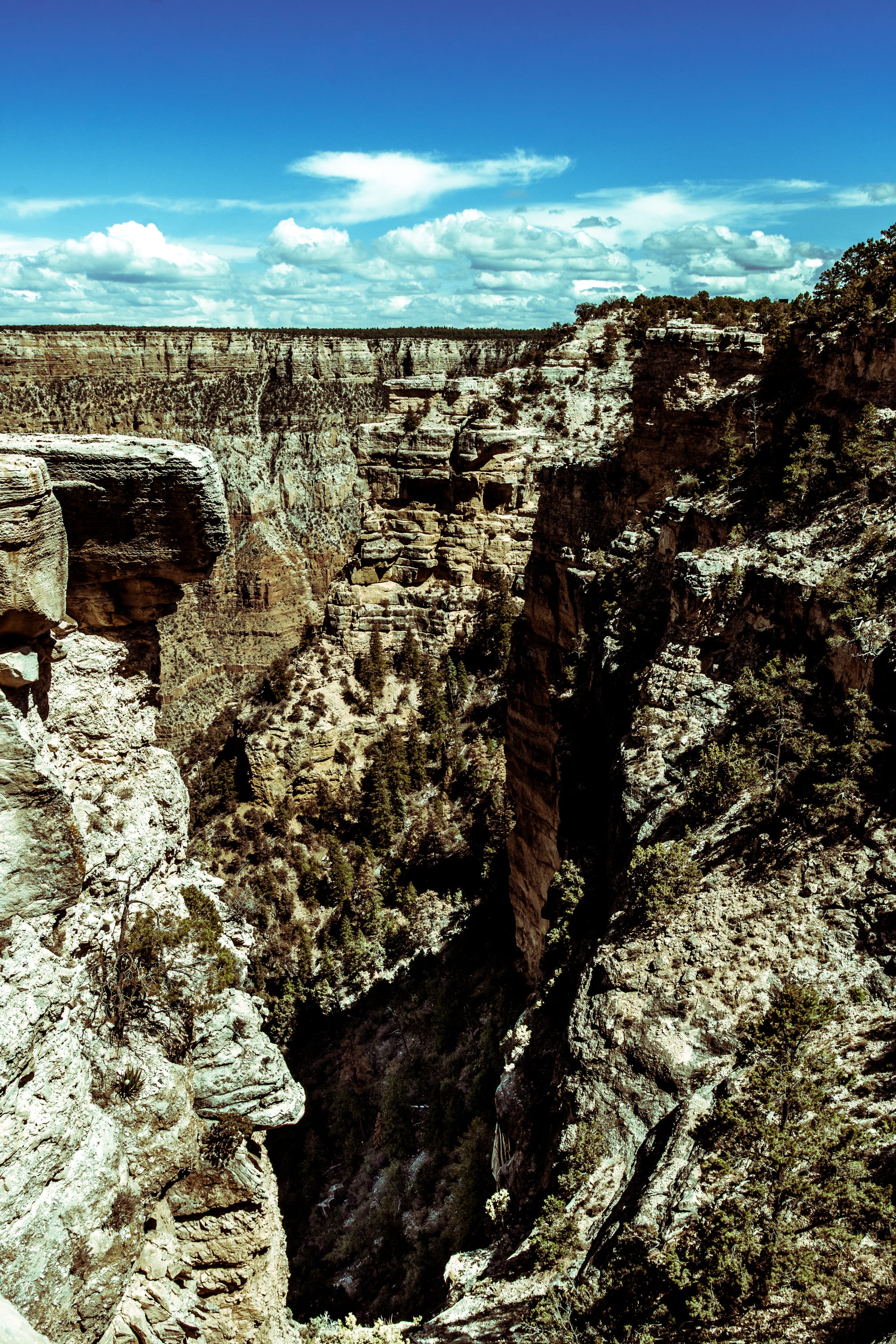 GRAND CANYON NATIONAL PARK, SOUTH RIM