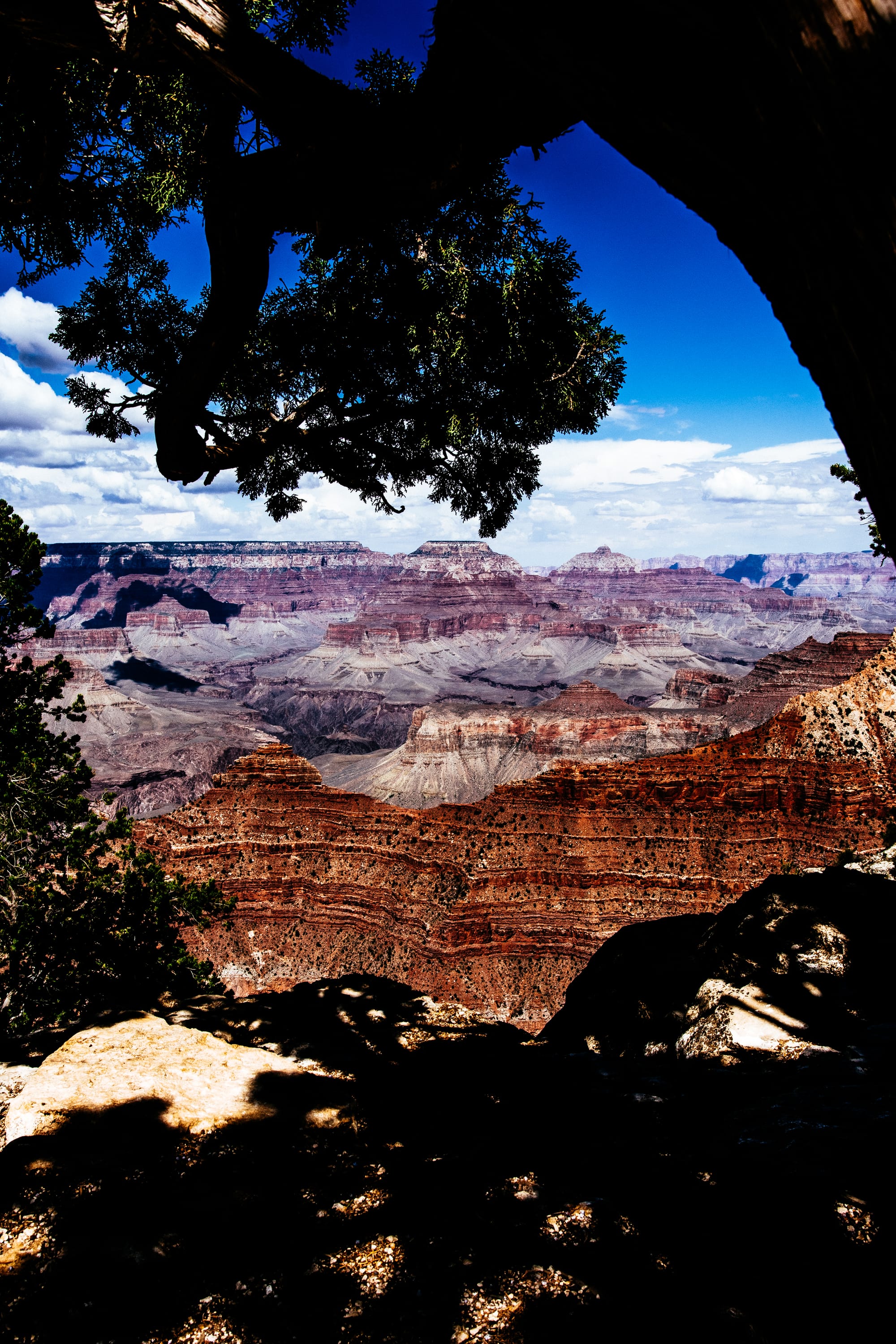 GRAND CANYON NATIONAL PARK, SOUTH RIM