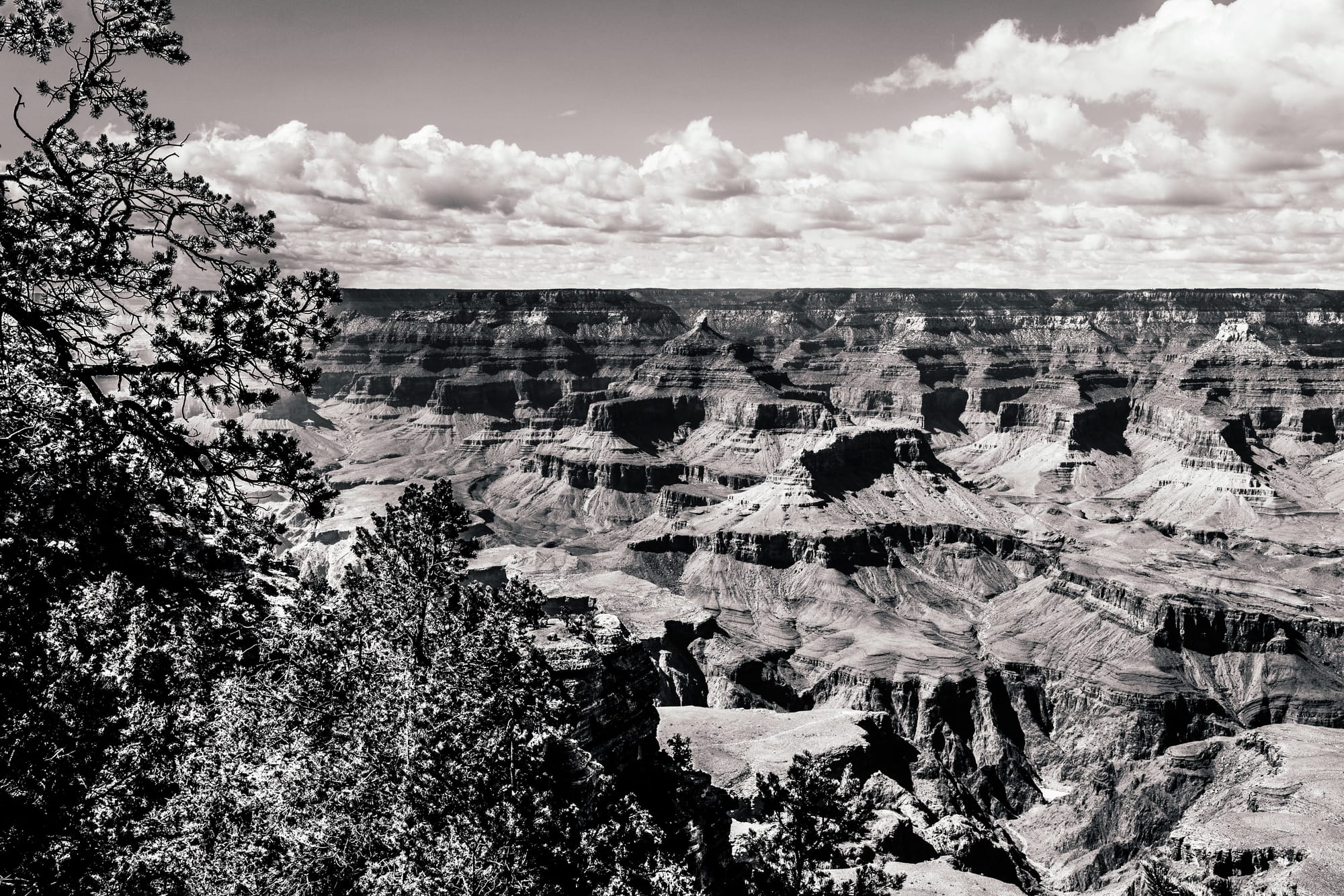 GRAND CANYON NATIONAL PARK, SOUTH RIM / B&W