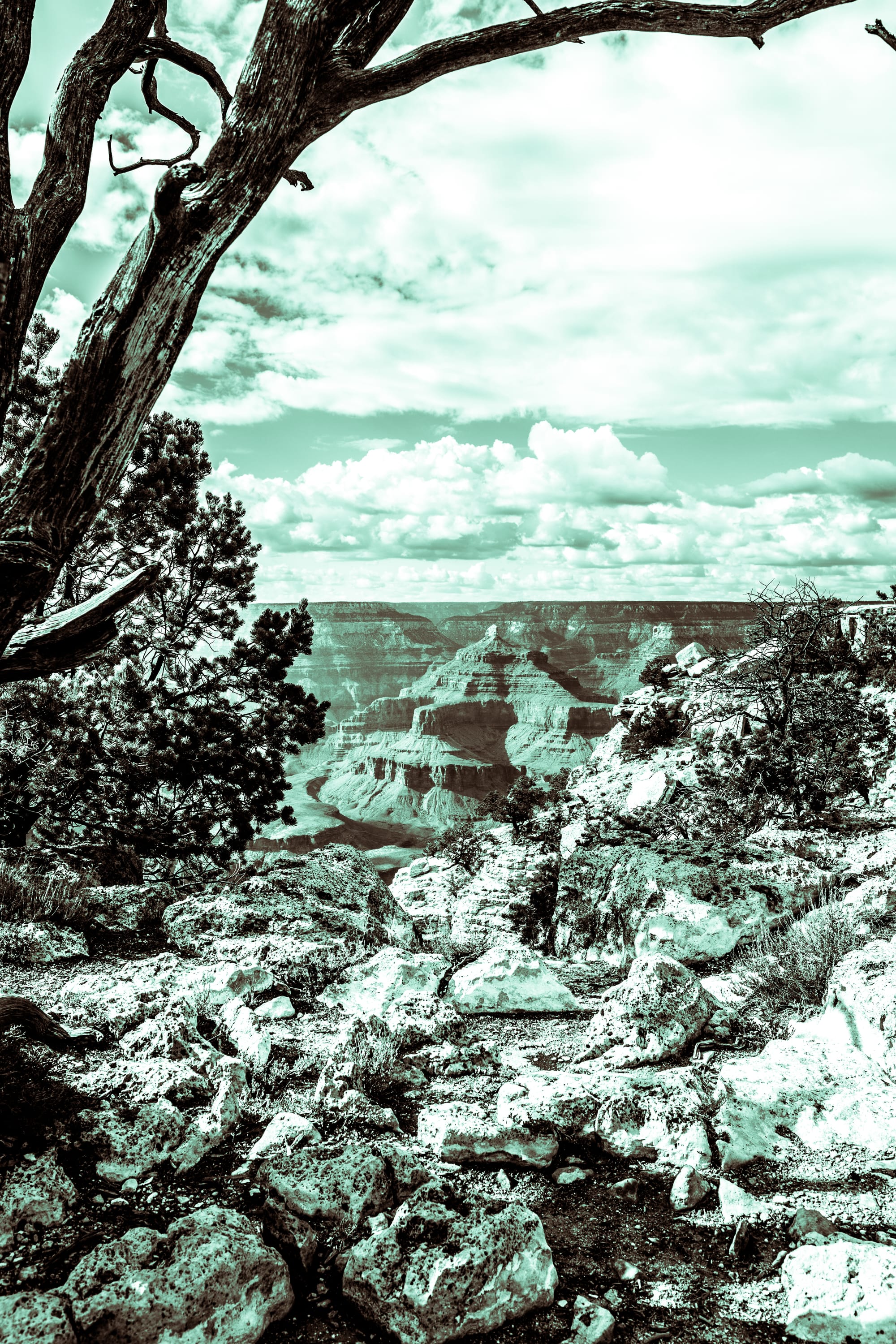 GRAND CANYON NATIONAL PARK, SOUTH RIM / B&W