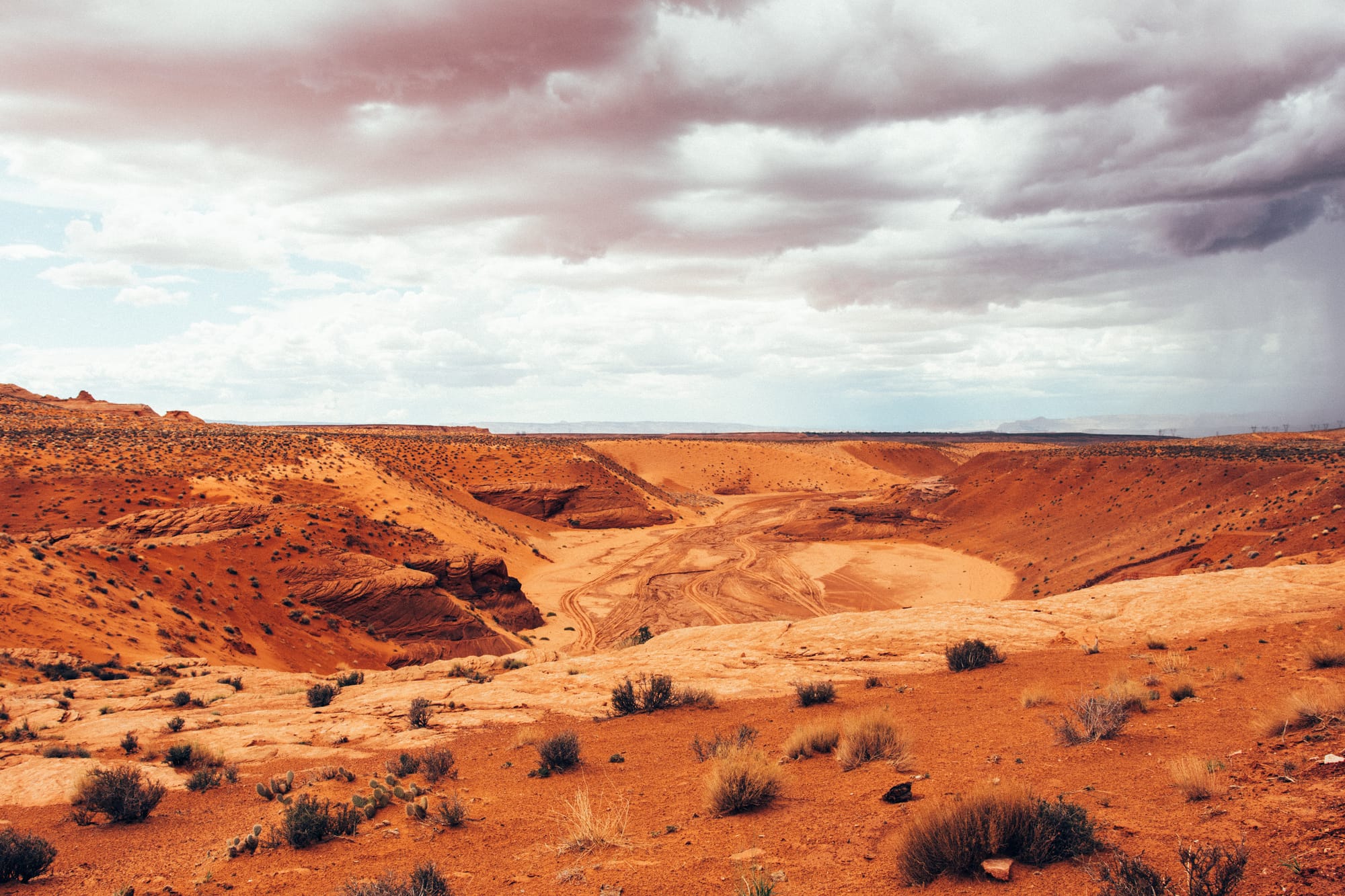 DESERT LANDSCAPE