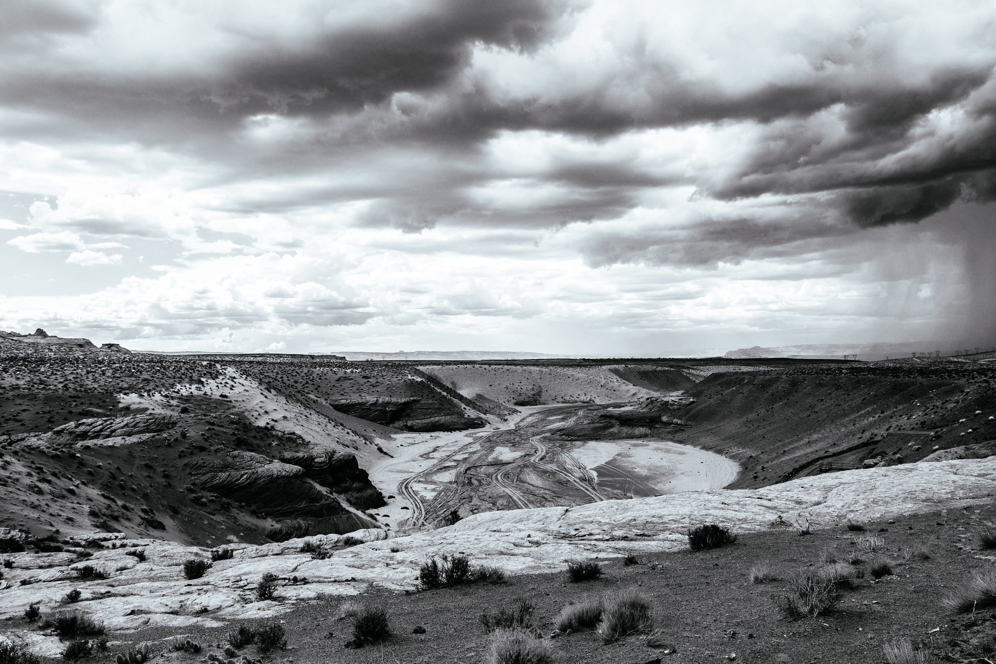 RAIN COMES TO THE DESERT / B&W