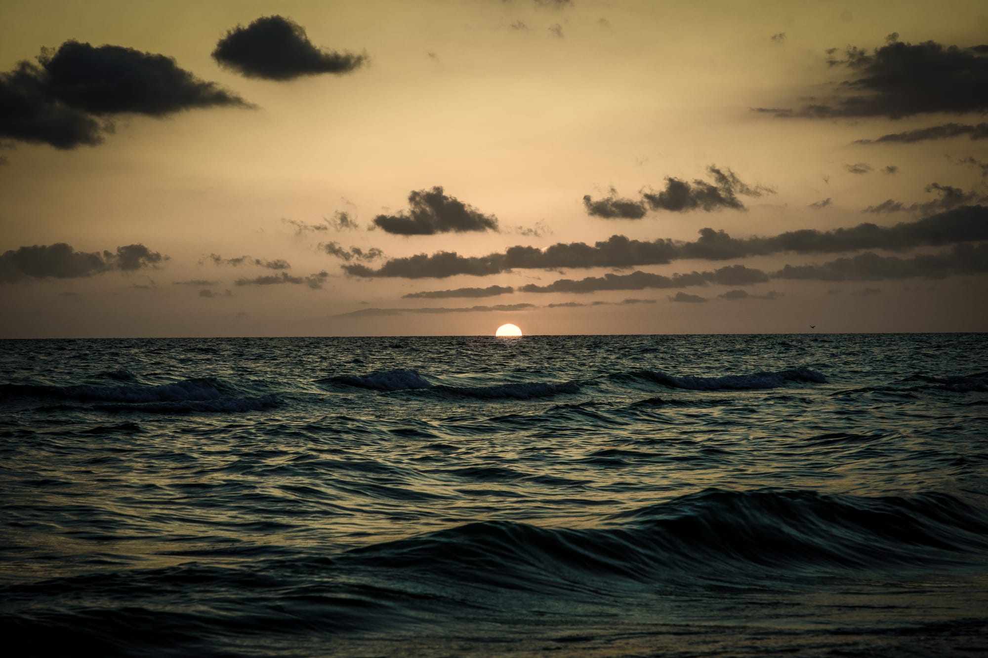 SUNSET OVER THE OCEAN IN MARCO ISLAND, FL