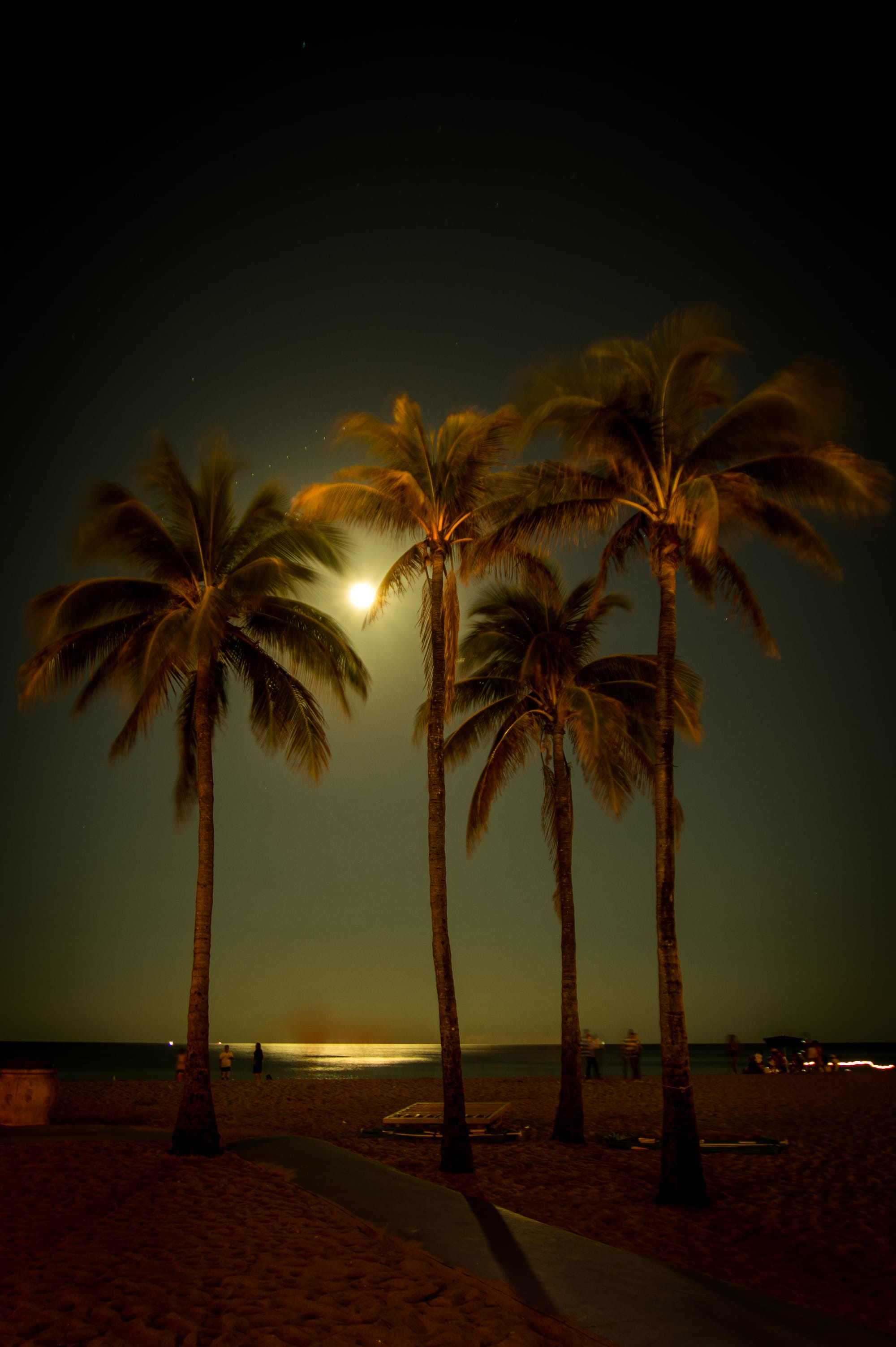 BEAUTIFUL SUNSET ON THE BEACH IN FORT LAUDERDALE, FL