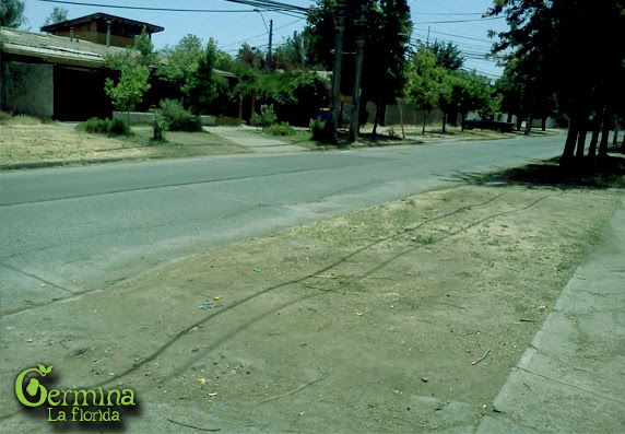 Plantabanda: Ya Tenemos Fecha