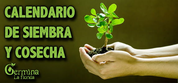 Calendario de Siembra y Cosecha