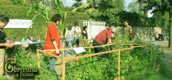 Una Cosecha Comunitaria