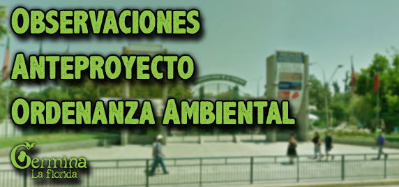 Observaciones al Anteproyecto de Ordenanza Ambiental