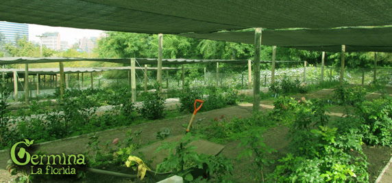 Minga de Vivero