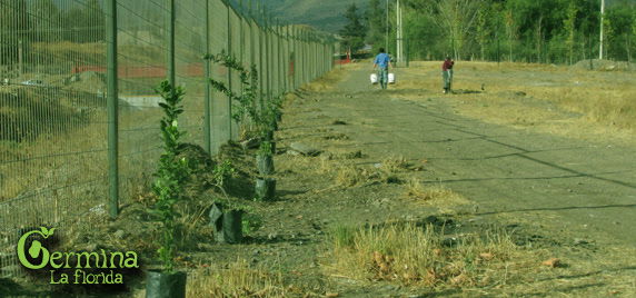 Día de contrastes en la Quebrada de Macul a 21 años del Aluvión