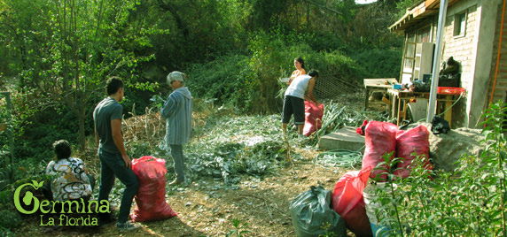Va Germinando el Vivero Comunitario