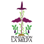 Fundación La Milpa