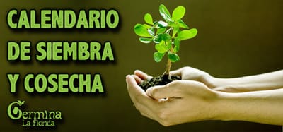 Calendario de Siembra y Cosecha