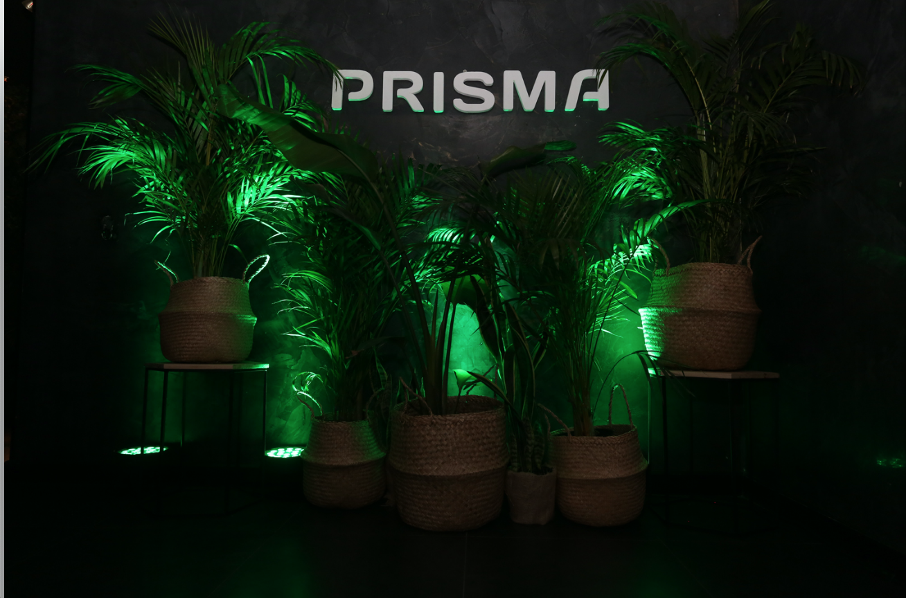 PRISMA - FIESTA FIN DE ANO AFRIKA