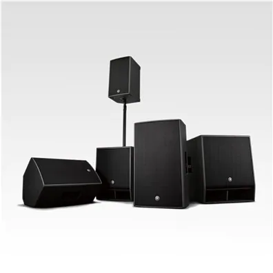 professional sound systems