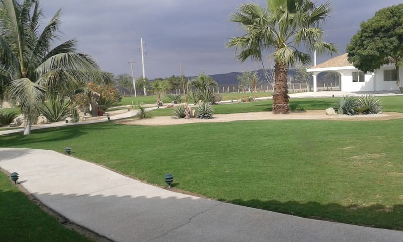 Proyecto