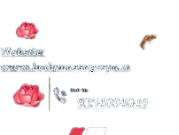 Body Massage in Delhi