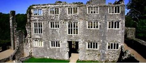 Berry Pomeroy Castle