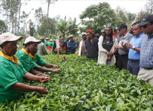 TEA MARKET REPORT SALE 19-2021
