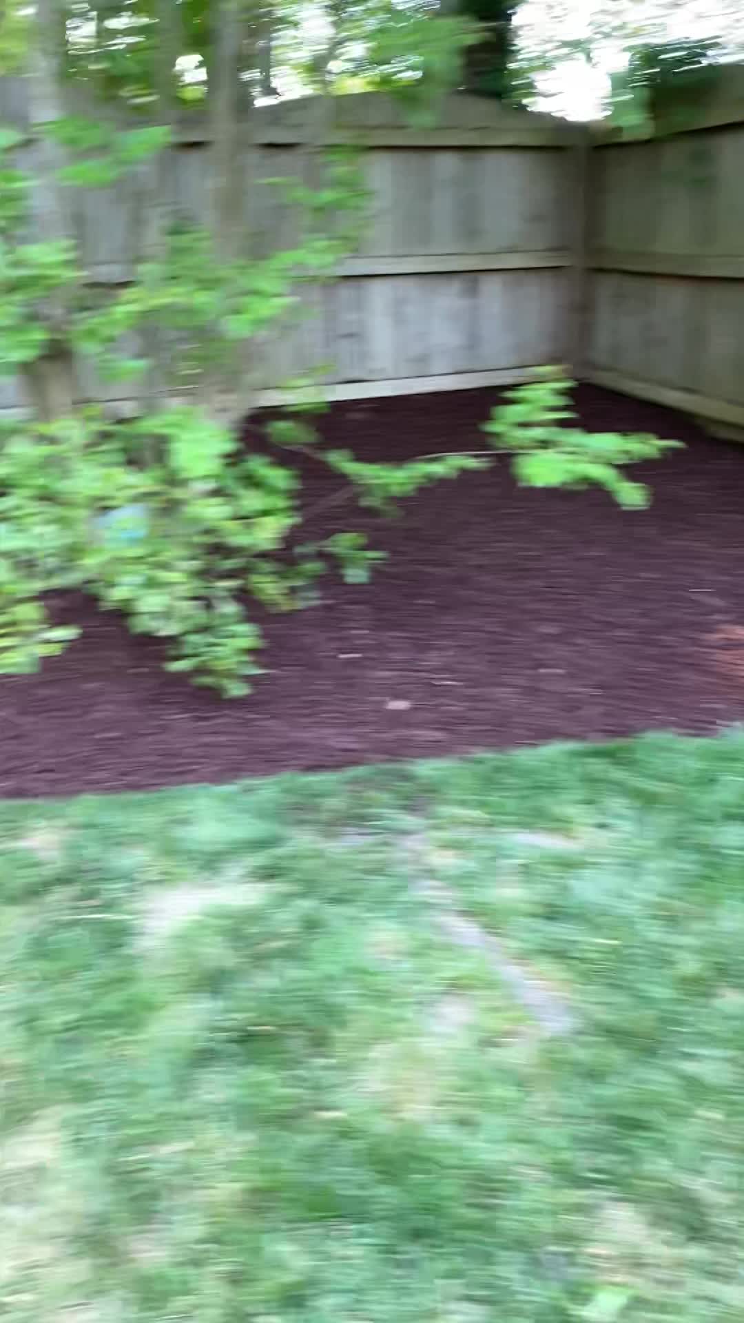 About video thumbnail