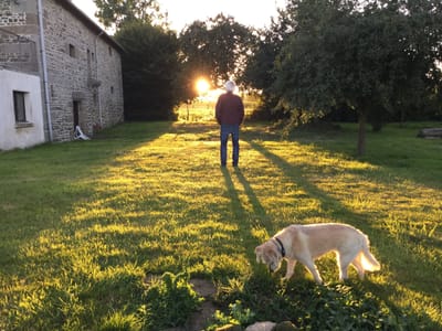 Abenddämmerung oder Neuorientierung