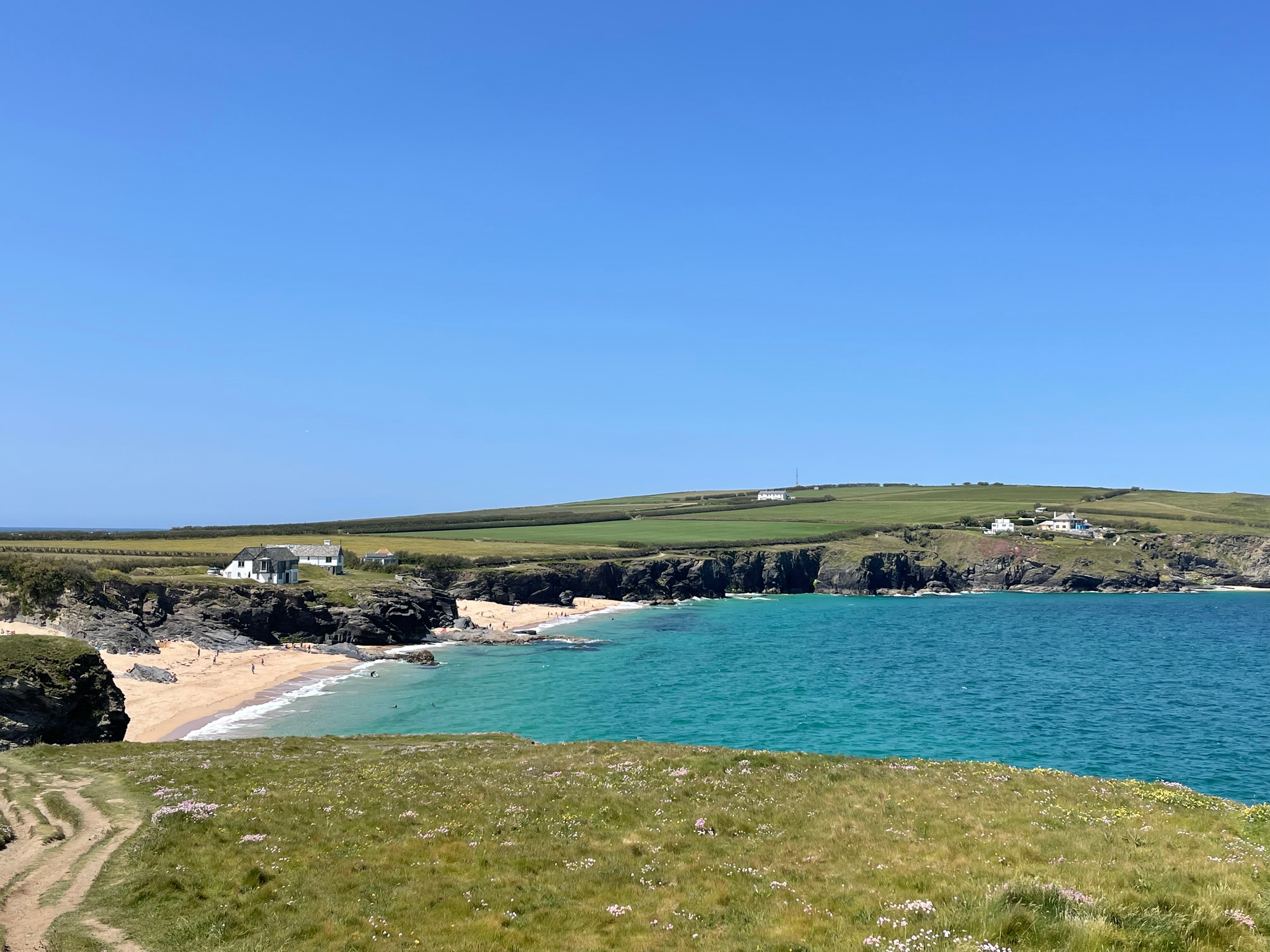 Day 19 - Mother Ivy's Bay