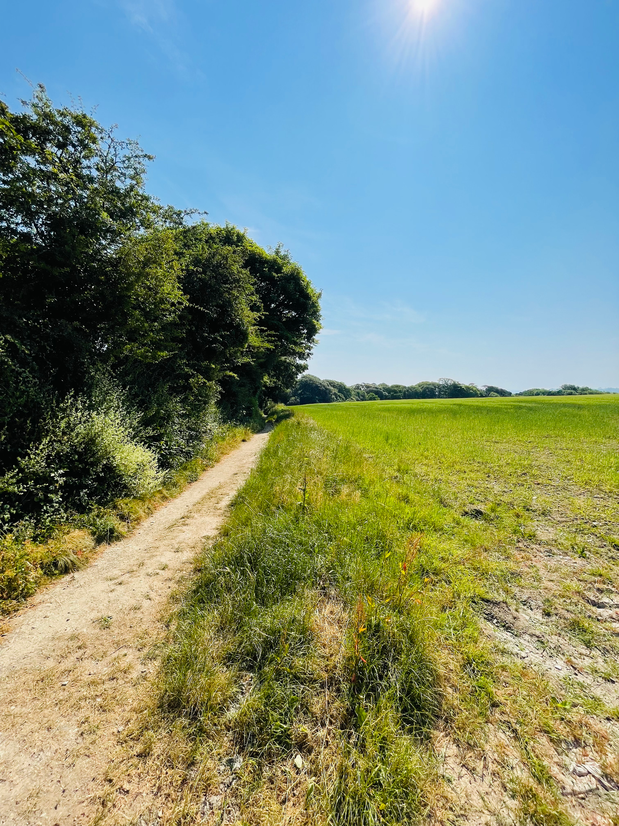 Day 31 - Sometimes the path goes inland and briefly becomes  normal rural walk