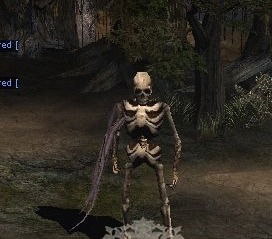 SKELETON KING