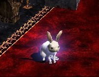 LUNAR RABBITS