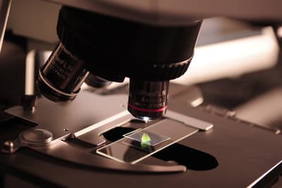 Lab website launched