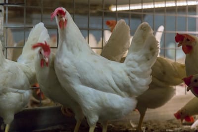 Informacje ogólne image