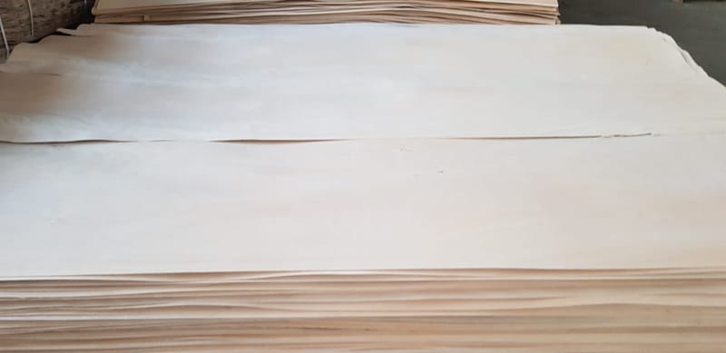 İşlenecek Tomrukların Ön Hazırlığı