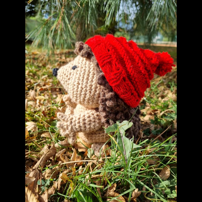 Igel Mit Der Roten Mütze Der Igel mit der roten Mütze - Märchenfiguren