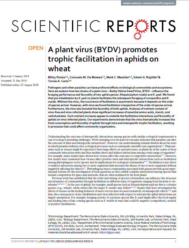 Viruses promote facilitative interactions between aphids.