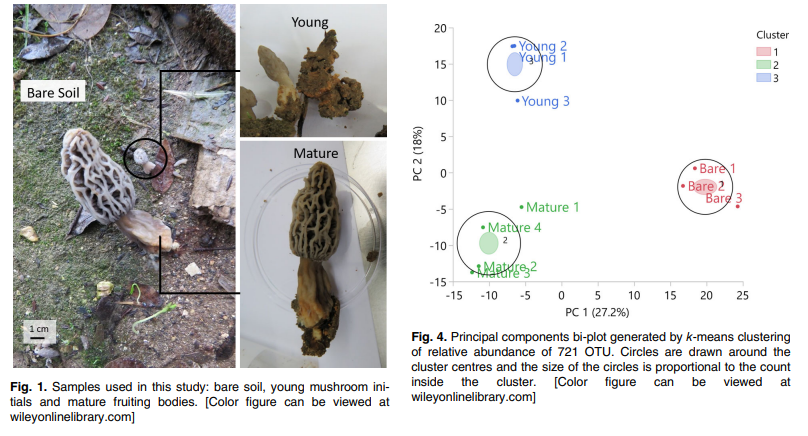 Soil Bacteria and Fungi