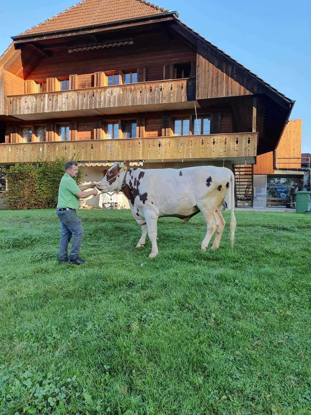 Oldseed Farm Jacot Orlik