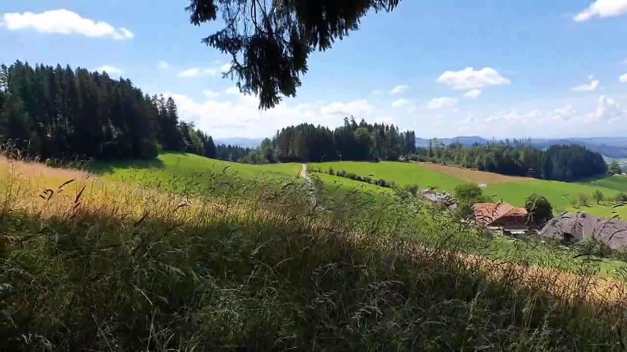 Über uns video thumbnail