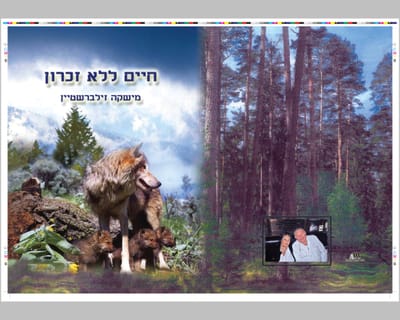 מישקה זילברשטיין, חיים ללא זיכרון