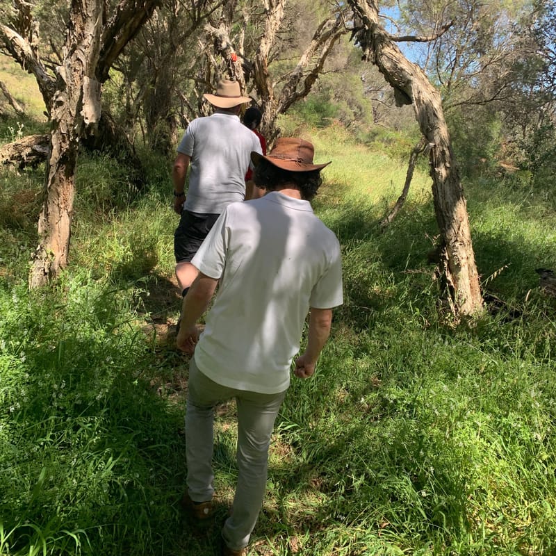 On a journey with FISH