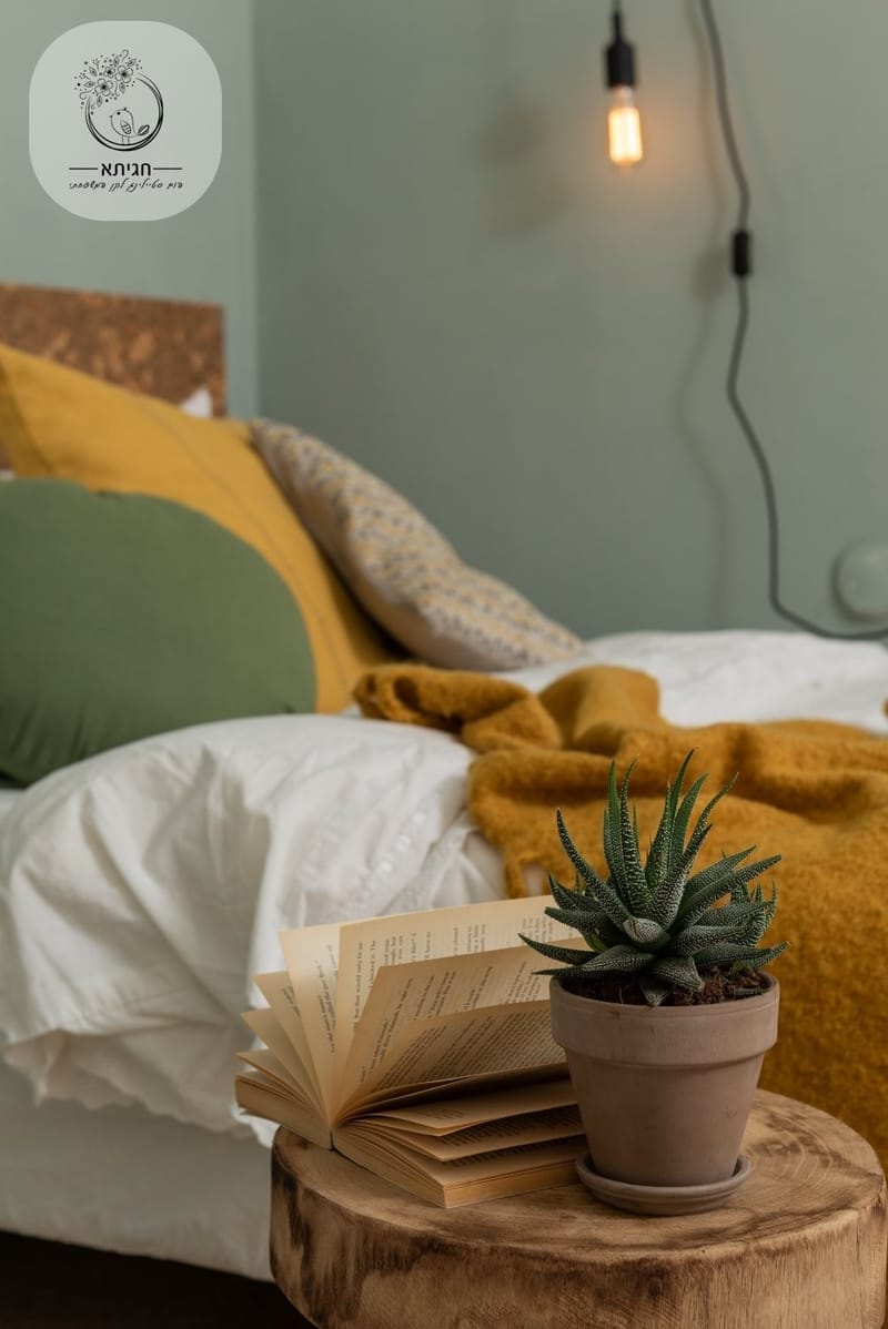 החדר של הסטודנט בעיר הגדולה