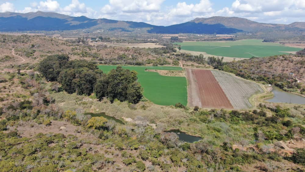 Automated GIS and Remote Sensing