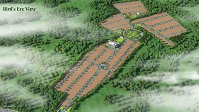 plots image