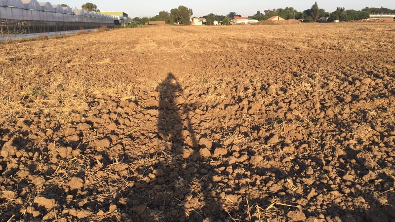 לגדל בקרקע נהרס